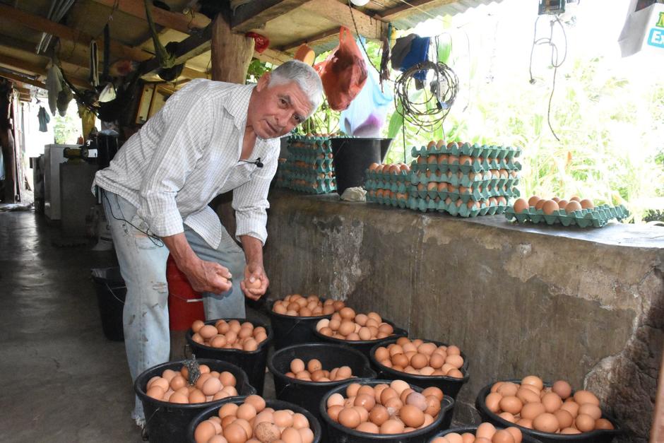 De 250 a 2,500 gallinas: José Genaro Pérez impulsa la producción de huevos