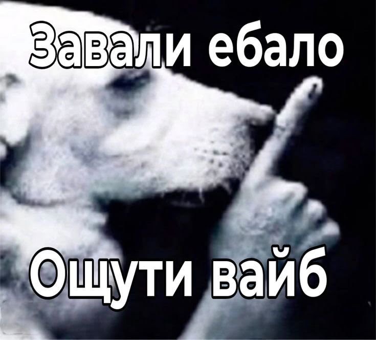 Annayrxz's tweet photo. @MILLERybjh Из за фф в тики токе❤️ https://t.co/J9tBC6UH9n