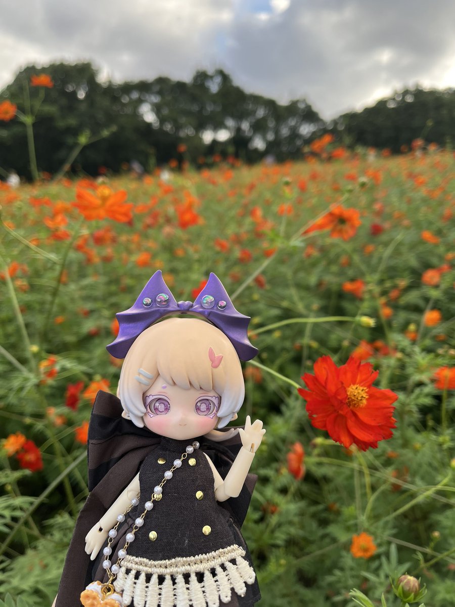 kage_ru's tweet photo. おはようございます

#おはドル https://t.co/dPOEIzyZ35