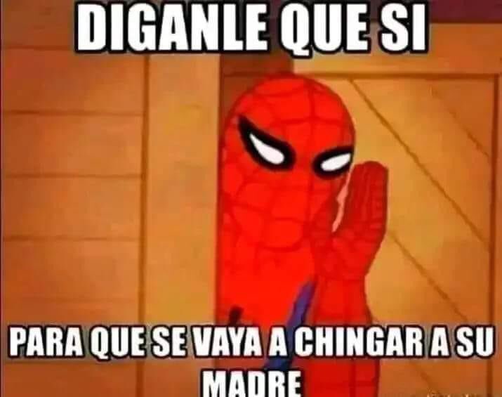 zaharichee's tweet photo. @ZuritaCarpio Pecata minuta mi todo pedofilo pendejo, aquí lo importante es ver si hace algo la fiscalía o se van a seguir haciendo bueyes … para no variar ,  Brutooo.. https://t.co/gkIjvryk4c