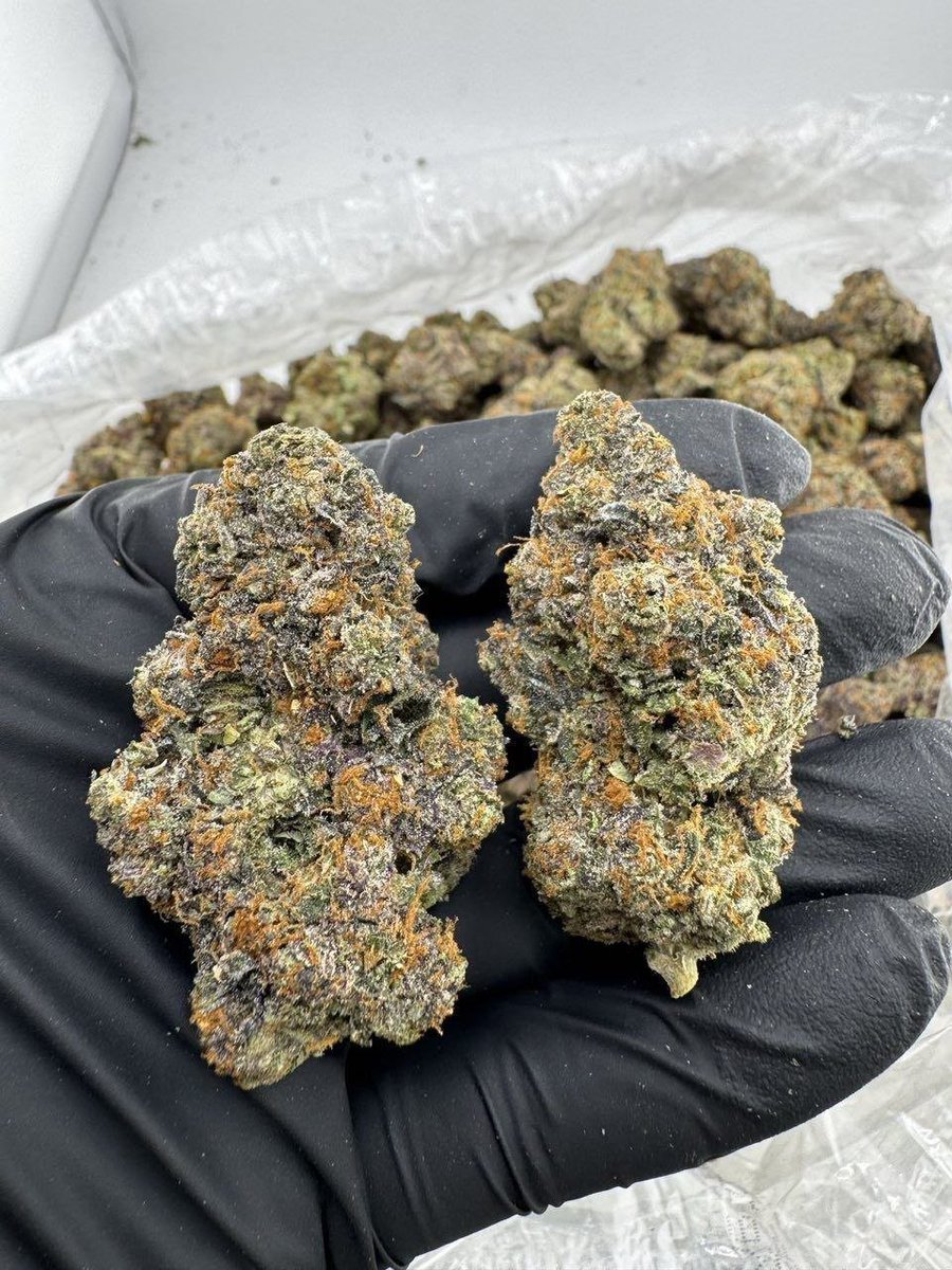 streetbreads's tweet photo. Bacio🔥

$1200 p
#chicagoweed #drugtwt #htxplug #davenportweed  #weedplug #marylandweed #serving #plug #nyc #weedinorlando #cannabis #caliweed #texasplug #dfw #atlweed #atlplug #yart #za #dallasplug #dallasweed #mobile #carts #420usa #okc #floridaweed #mesquite #organic https://t.co/ZTH8yltGFm