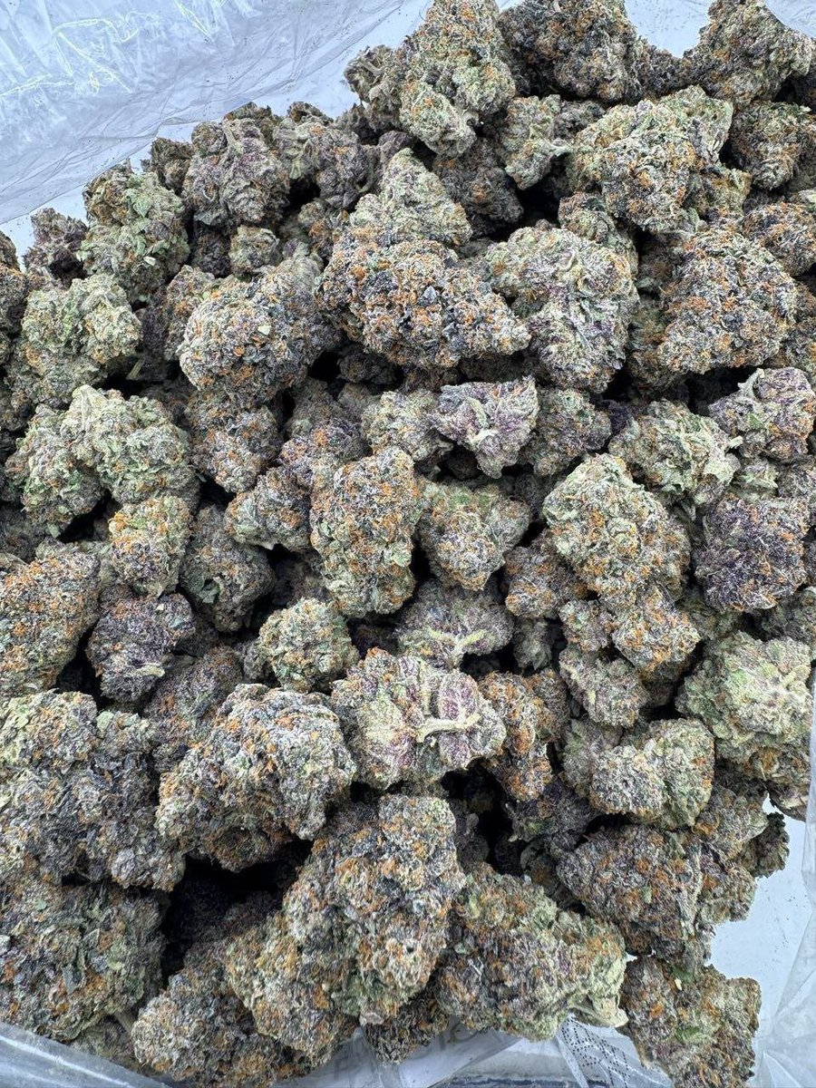 streetbreads's tweet photo. Bacio🔥

$1200 p
#chicagoweed #drugtwt #htxplug #davenportweed  #weedplug #marylandweed #serving #plug #nyc #weedinorlando #cannabis #caliweed #texasplug #dfw #atlweed #atlplug #yart #za #dallasplug #dallasweed #mobile #carts #420usa #okc #floridaweed #mesquite #organic https://t.co/ZTH8yltGFm