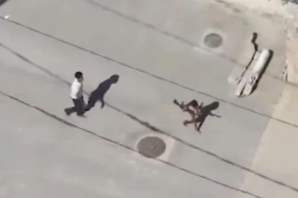 nypost's tweet photo. Grim video shows Hamas using child as human shield to carry weapons into Gaza home https://t.co/JZhNJcNMoQ https://t.co/jwMESFdO15