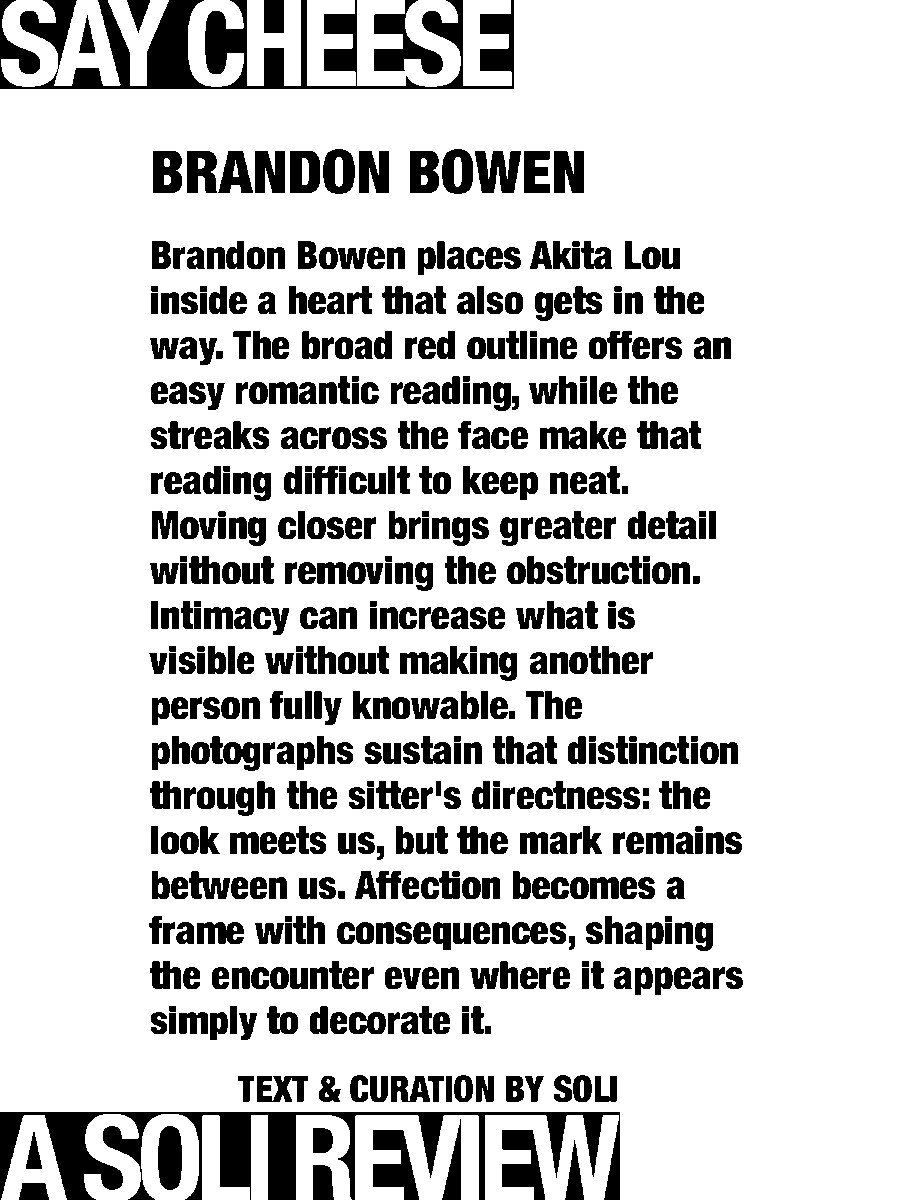 solisolsoli's tweet photo. Still behind the heart · Brandon Bowen https://t.co/I838xFoeN3
