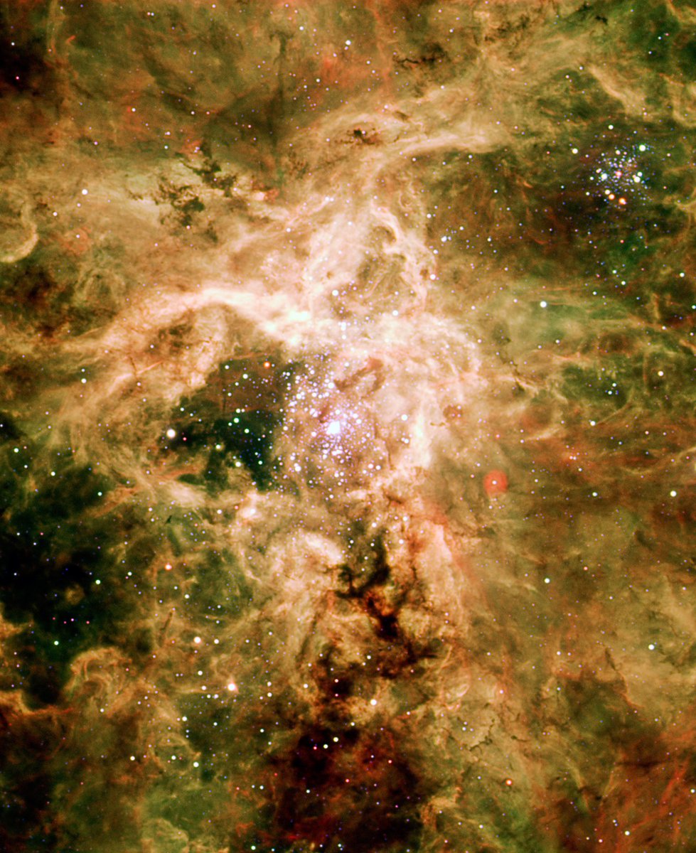 universal_sci's tweet photo. Nestled in the Large Magellanic Cloud, near Dorado, the brilliant nebula known as NGC 2060 is what remains of a supernova. 

Such explosions mark the violent deaths of massive stars, hurling searing-hot debris into the surrounding space.

(Credit: ESO) https://t.co/78cxH5vzG7