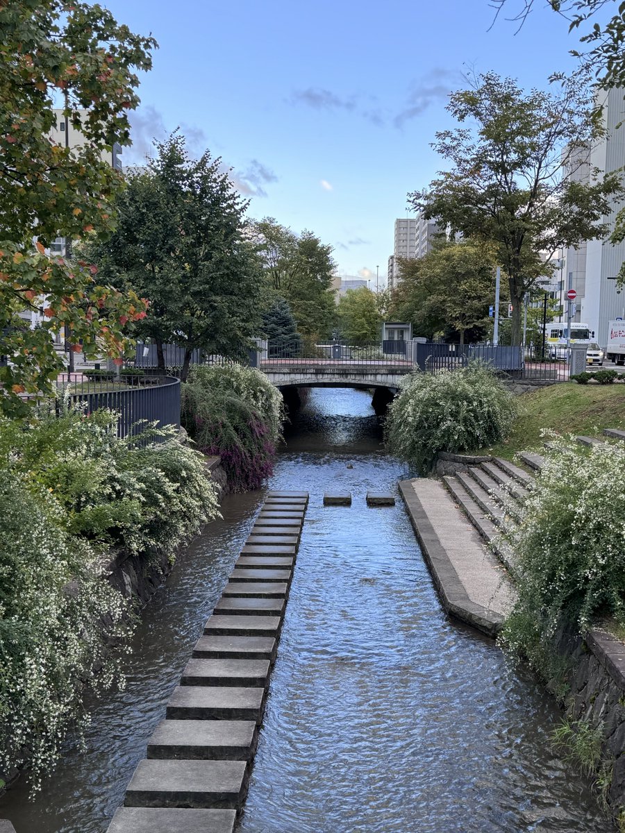 Ydamsmsm's tweet photo. やや早朝徘徊 https://t.co/mSWo6D9pbi