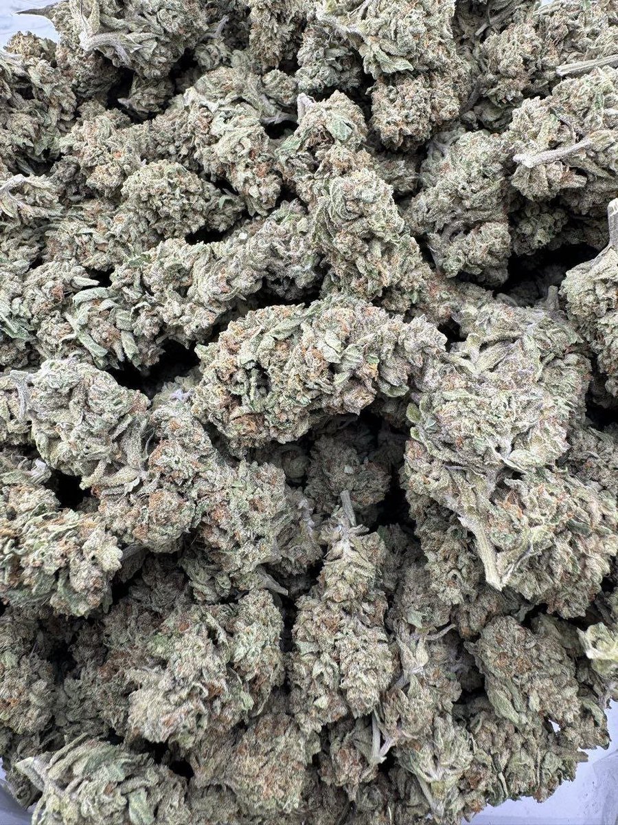 streetbreads's tweet photo. Modified sunset dep

$900
#chicagoweed #weedtwt #utahweed #davenportweed #weedplug #floridaweed #budorlando #serving #plug #nyc #weedinorlando #cannabis #caliweed #texasplug #dfw #atlweed #atlplug #yart #za #dallasplug #dallasweed #TXweed #htxplug #420usa #okc #mesquite #organic https://t.co/OAaaqv5vrq