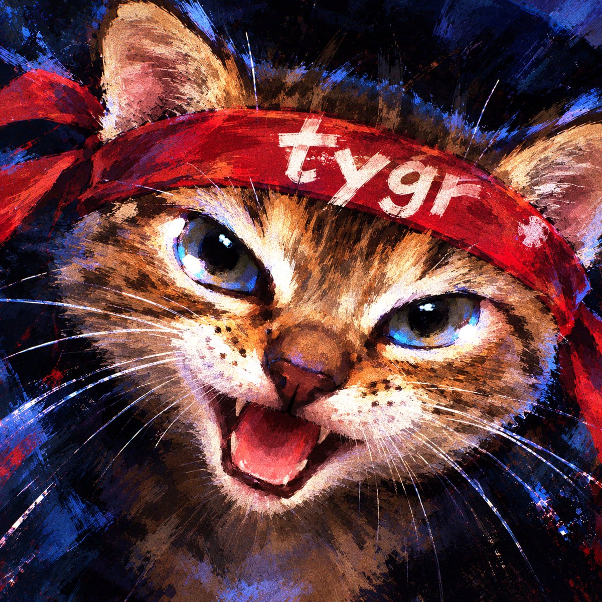 Tygrkitty's tweet photo. GMEow https://t.co/bxMyhBp5OJ