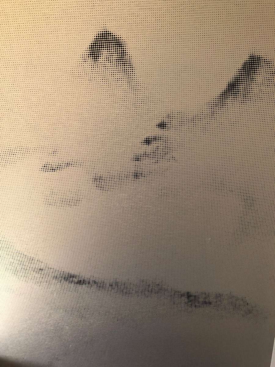 jihee080402's tweet photo. A wisp of apricot, cramp in the lung, a moment's fragile moment. https://t.co/tpQKGiiNfQ