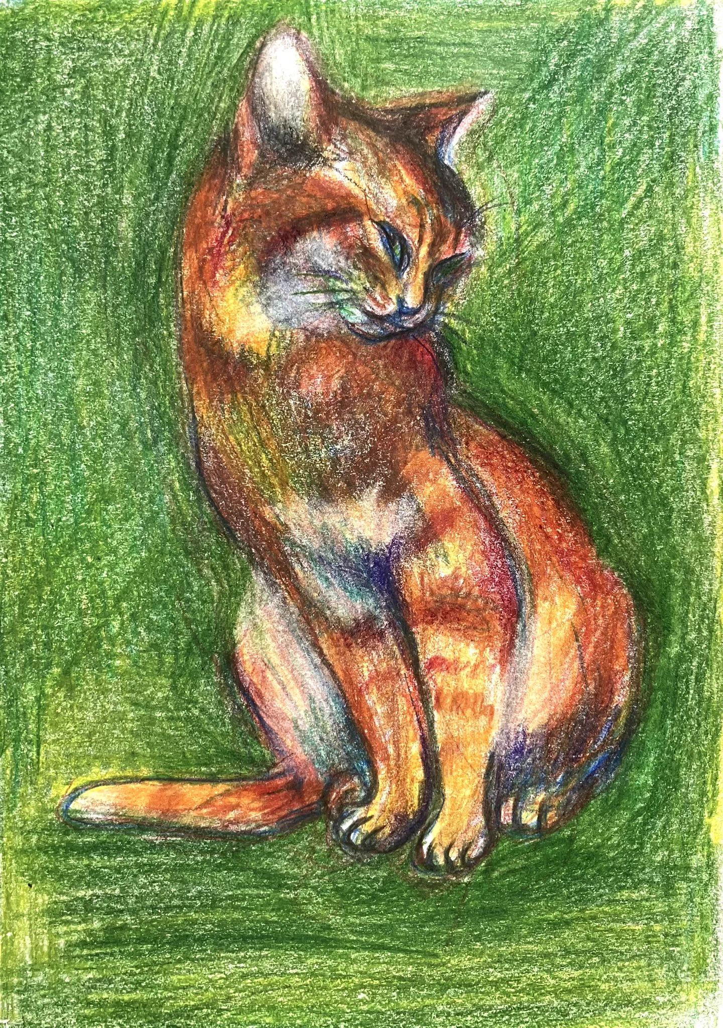 “迎えにきたニャ” 色鉛筆画 菊玉健治 on X: 
