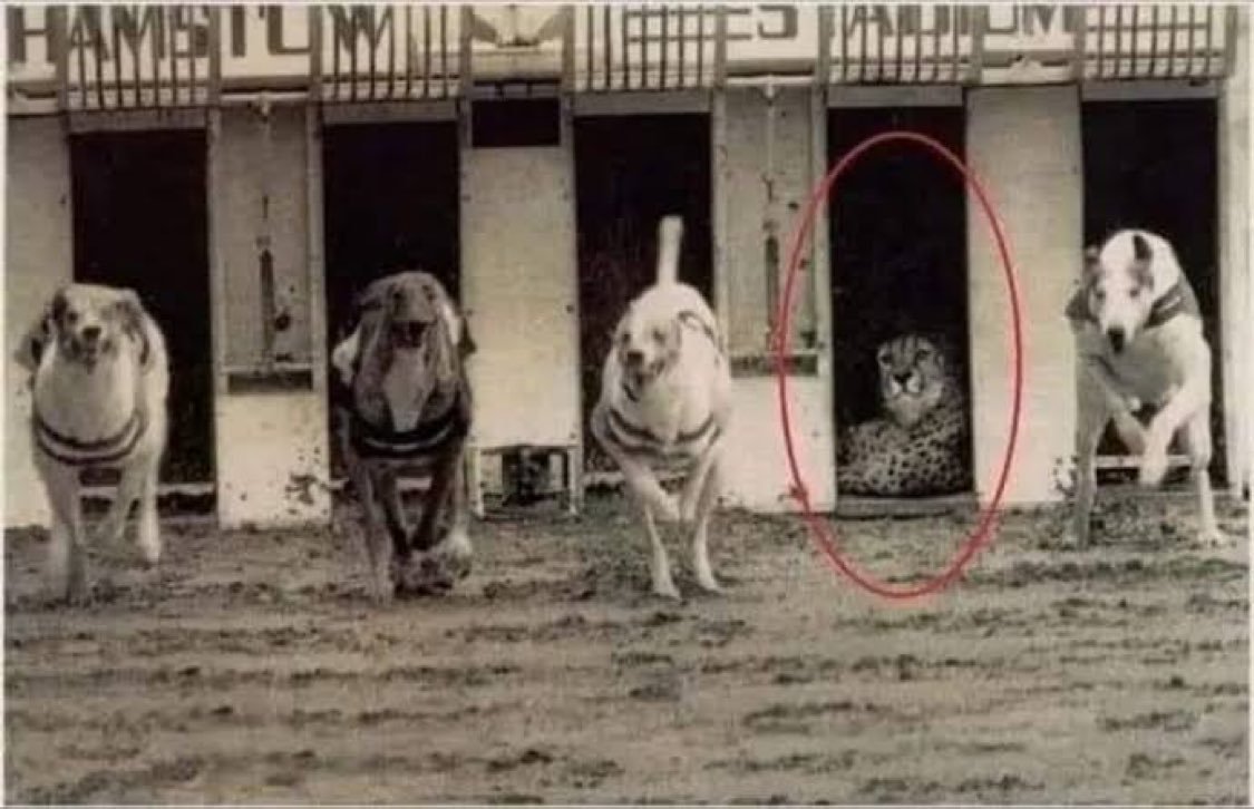 johnnycortes's tweet photo. This is how Messi gave Cristiano Ronaldo a head start in free-kick goals. https://t.co/j6hd9rnJlS