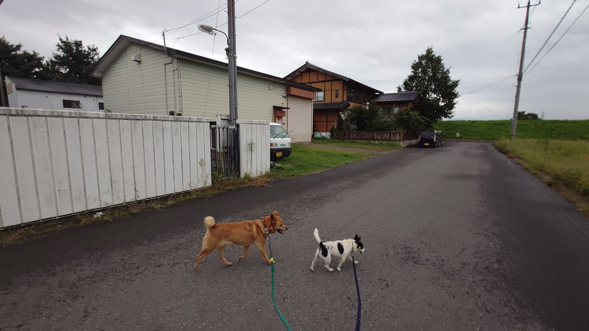 LindoYS150's tweet photo. 朝の日課
チャーリー&amp;ピー https://t.co/Z9MH6VcIMk