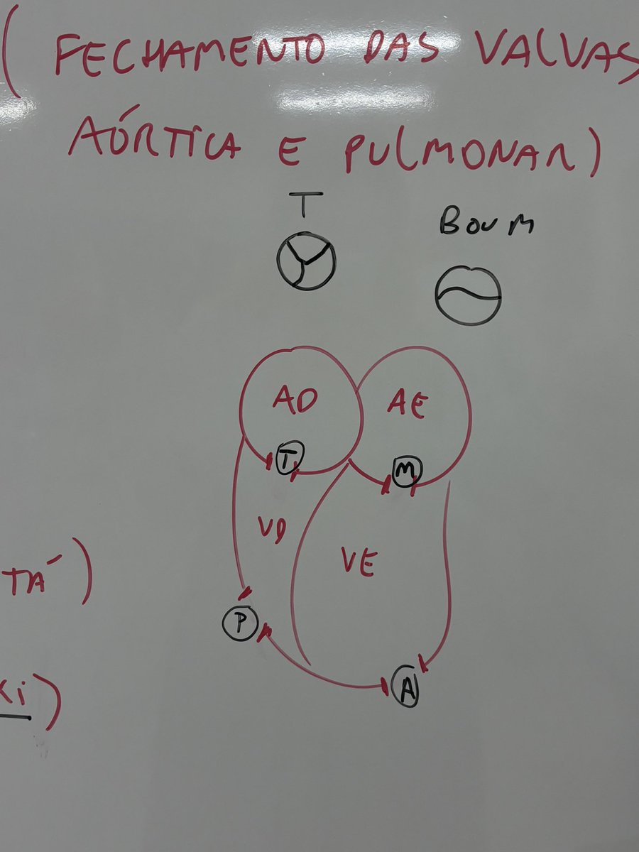 AMINE4CID's tweet photo. tesão https://t.co/DaqXmBaMA7