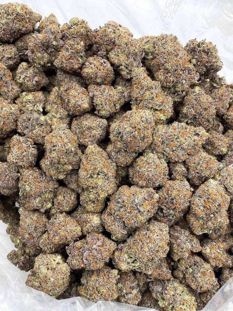 streetbreads's tweet photo. Orange Zerbet 
$600 a pound 
Don’t miss out
#TXweed #drugtwt #davenportweed  #weedplug #floridaplug #serving #htxplug #plug #nyc #weedinorlando #cannabis #caliweed #texasplug #dfw #atlweed #atlplug #yart #za #dallasplug #dallasweed #mobile #okc #420usa #mesquite #organic https://t.co/5bqkp8I0Cx