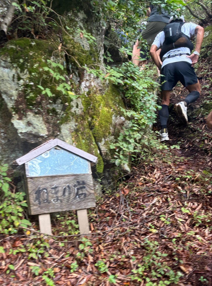 tonami_recruit's tweet photo. 今日は少しプライベートのお話🏃♂️🐆
日曜は富山県南砺市の「道宗道トレイル」へ!
山道を走ってしっかりリフレッシュ🌿
昨日も筋肉痛、今日も筋肉痛。
明日は…筋肉スリーでしょうか😂
採用担当も休日をしっかり楽しんでいます!
「トナミで働く」をもっと身近に。
#トナミ #トナミ運輸 #GONEXT https://t.co/jTrRJ4goHL