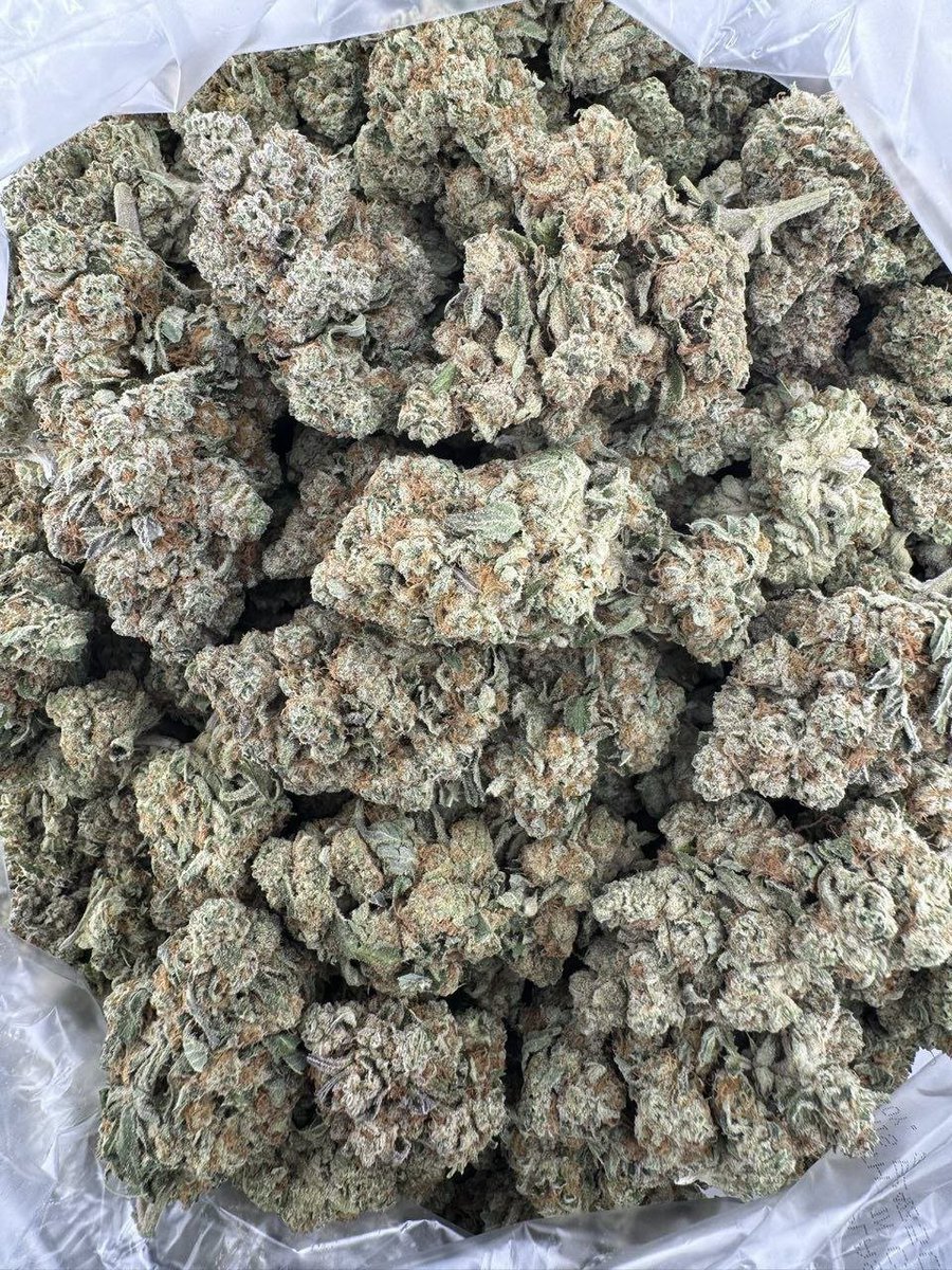 streetbreads's tweet photo. Pinnacle deps

$700p
#floridaweed #weedtwt #TXweed #davenportweed  #weedplug #budorlando #serving #plug #nyc #weedinorlando #cannabis #caliweed #texasplug #dfw #atlweed #atlplug #yart #za #dallasplug #dallasweed #mobile #carts #420usa #mesquite #organic https://t.co/JBJ0sKKzO7