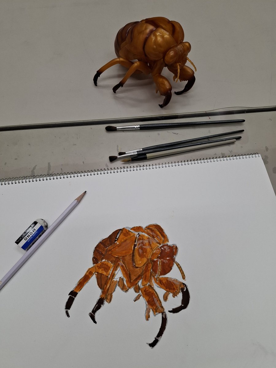 AsaQraShin's tweet photo. JEUGIAカルチャーイオン盛岡南
【子供絵画教室(月)】セミの脱け殻フィギュアを描く、デッサンチャレンジ②
【デッサン(月)】今月のモチーフ完成

#JEUGIA　#イオンモール盛岡南
#子供絵画教室　#デッサン教室 https://t.co/JMAdOWKK9I