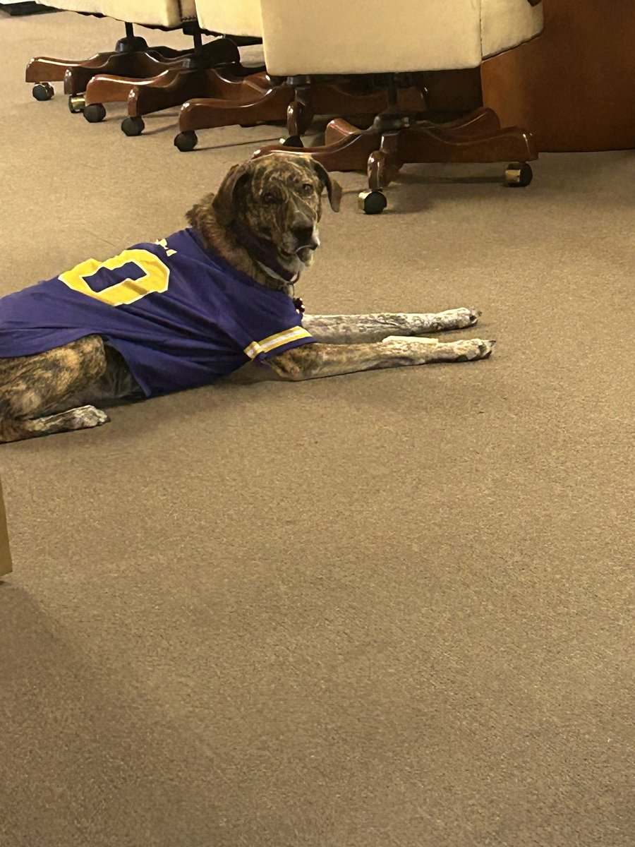 CoachWilder353's tweet photo. The “Director of PAWS-itivity if fired up for gameweek @TNTechFootball 🪏🪏
Ready to grab a shovel, jump in the ditch, and dig 🦴🦴 #Haveaday 🐶 https://t.co/x630BXBHVd