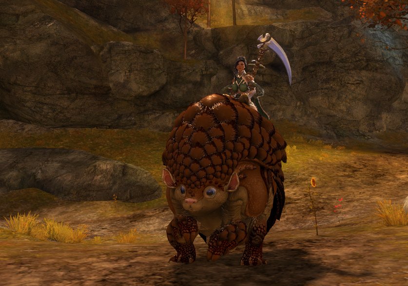 JustTyriaThings's tweet photo. 🫠

#GuildWars2 #RollerBeetle https://t.co/cNJF2vszHS