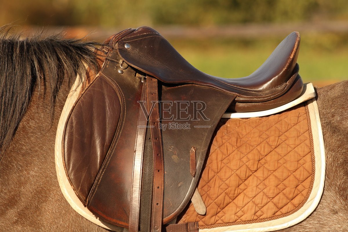 c_claytor_141's tweet photo. This is the hot saddle made of sandalwood, perfect for a comfortable riding experience!， https://t.co/UNdUHHLCHw
