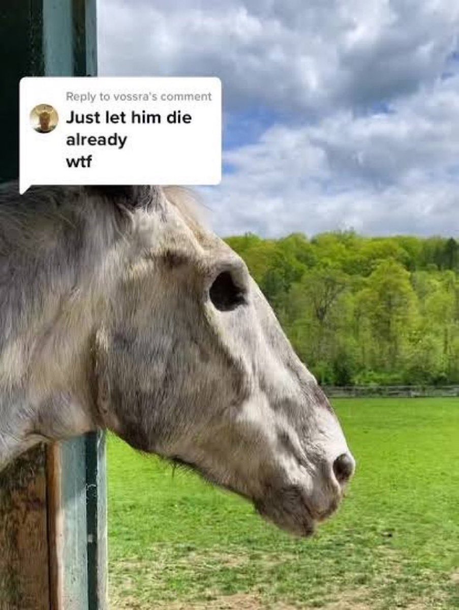 srpcntskirt's tweet photo. me not being on anybody’s twitter circle because i’m a deadbeat mutual who only camps on priv https://t.co/W4IdeiEnkw