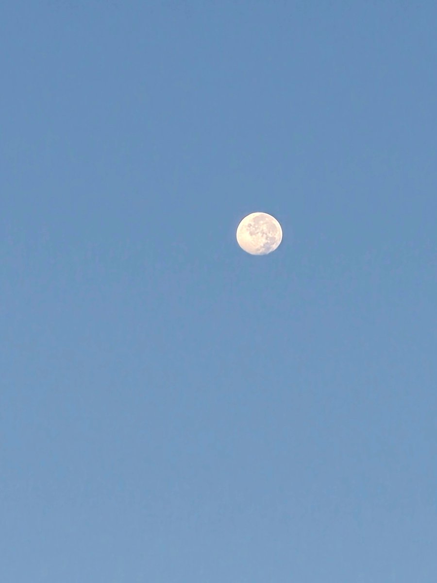 worya_chzzk's tweet photo. 쪼은 아침☀️
밖에 잠깐 나갔는데
달이 잘보여서 찍어봐써여! ㅎㅅㅎ https://t.co/HKztnnuZna