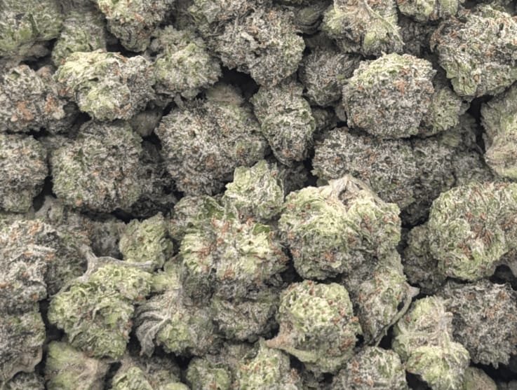 Hellaslump3187's tweet photo. thca content on the label is lower than in the coa
Item type:
28g / Black Cherry Runtz

#FuckCancer #FuckCancerCrew #TeamHomegrow #JoinTheSesh https://t.co/bBf8C1qLk4