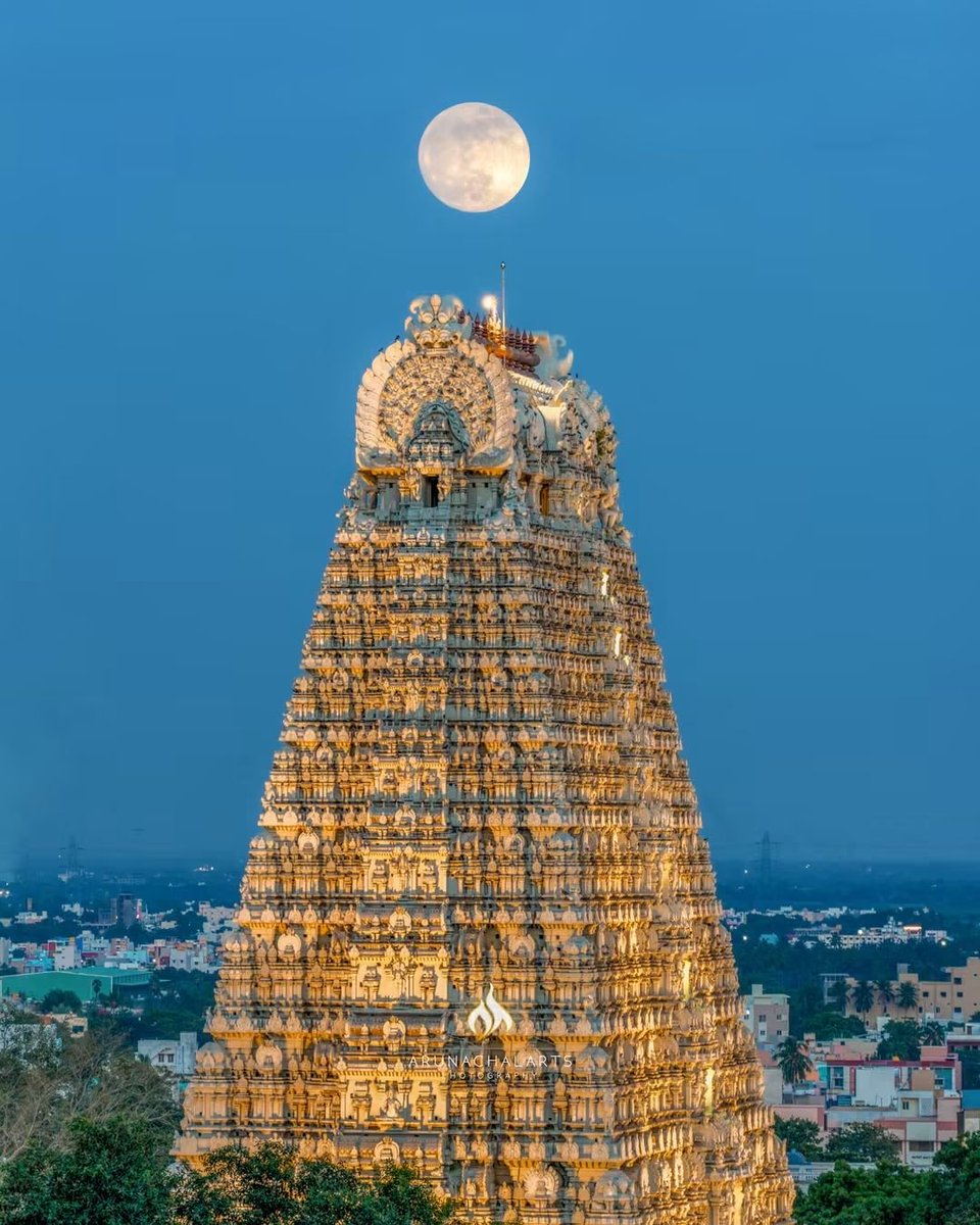 Brasilwale's tweet photo. நமச்சிவாய வாழ்க 🙏 https://t.co/gddaUn2CQe