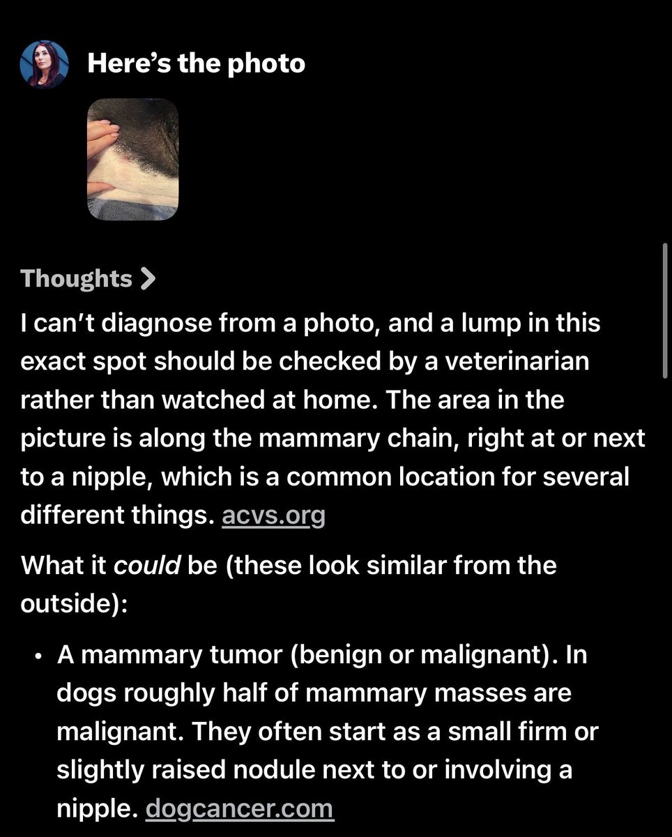 LauraLoomer tweet picture