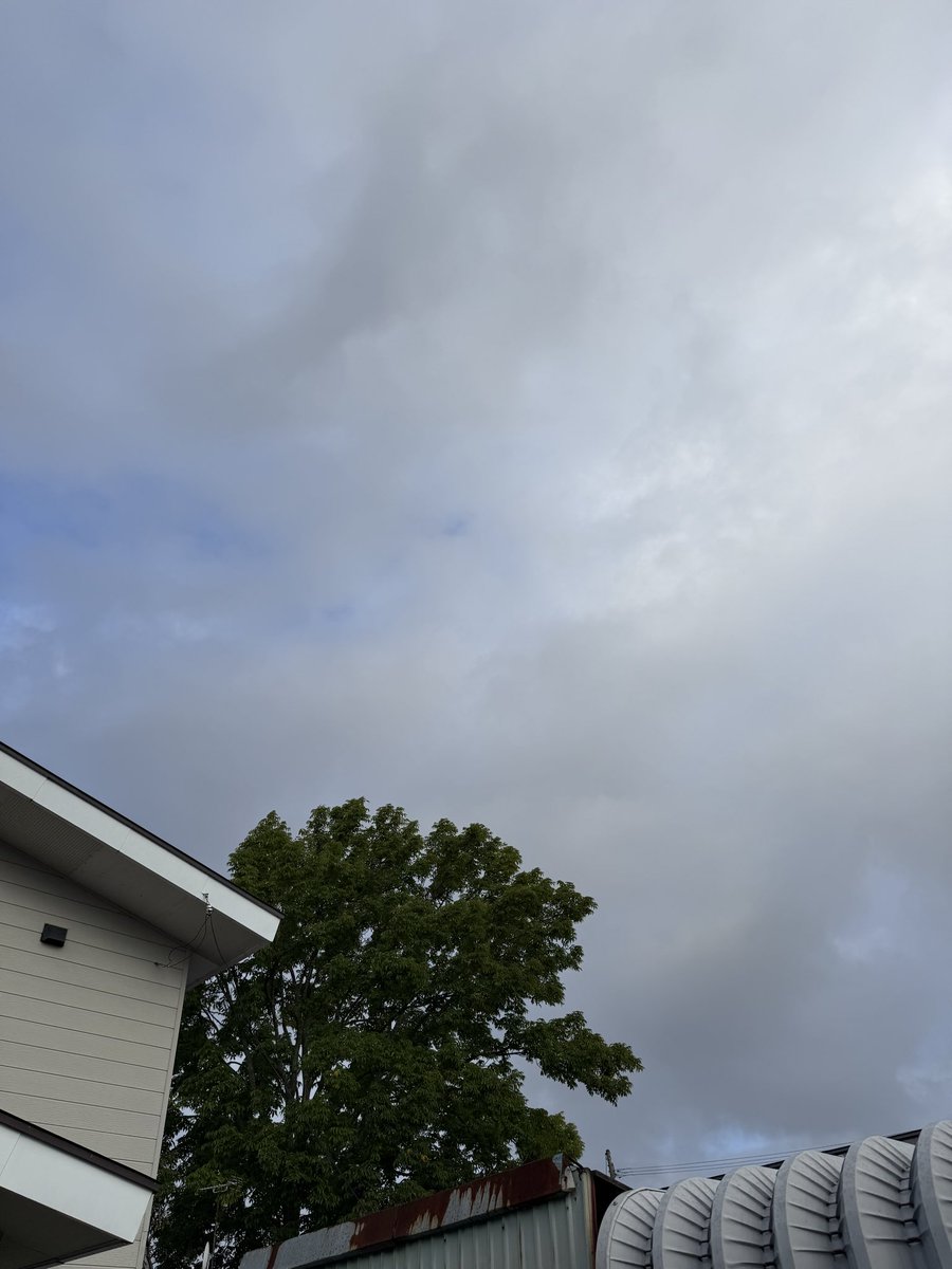 Sakunz's tweet photo. #ぎゃざりんぐ
おはようございます
久しぶりのイマソラ
小雨の岩見沢市の南側。
午前中は雨☔模様ですね。
最近忙しくて寝不足気味でしたので、午前中は寝ます。休みも仕事の内💤 https://t.co/cVDQjlWPI8