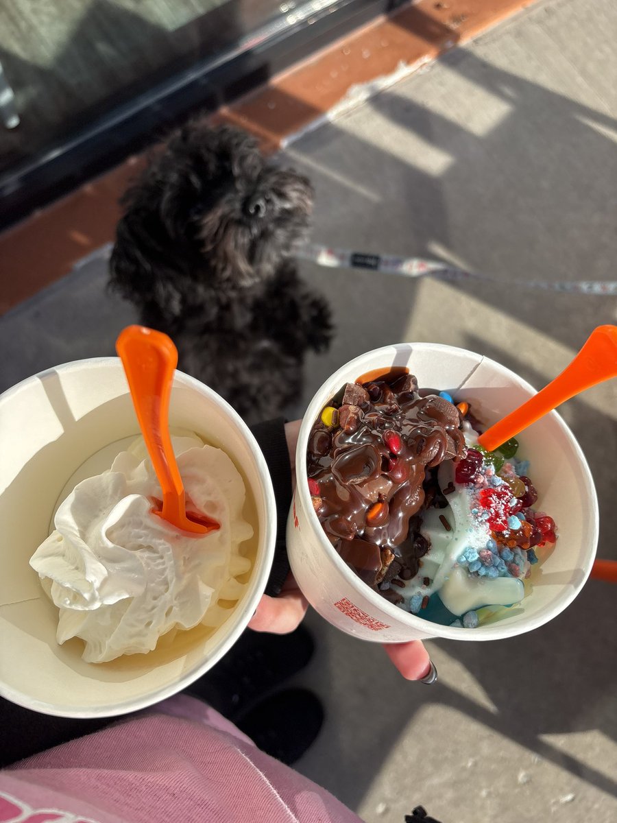 tinystarpup tweet picture