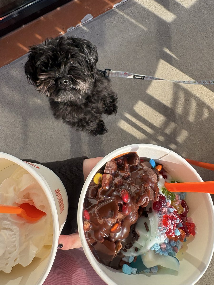 tinystarpup tweet picture
