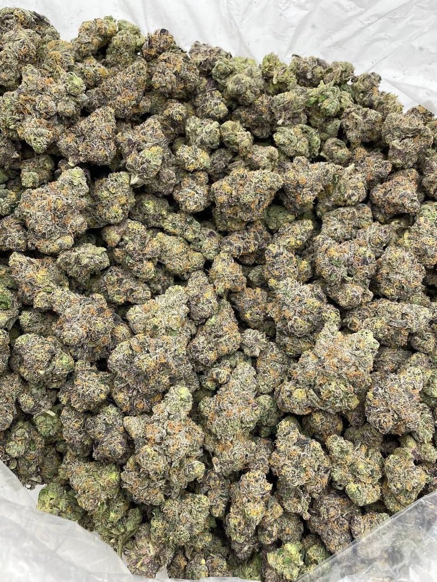 streetbreads's tweet photo. Pink rozay 
700 p
#htxplug #weedtwt #davenportweed  #weedplug #chicagoweed #serving #ohioweed #plug #nyc #utahweed #weedinorlando #cannabis #caliweed #texasplug #dfw #atlweed #atlplug #yart #za #dallasplug #dallasweed #mobile #carts #420usa #floridaweed #mesquite #organic https://t.co/vGQoH6vhO8