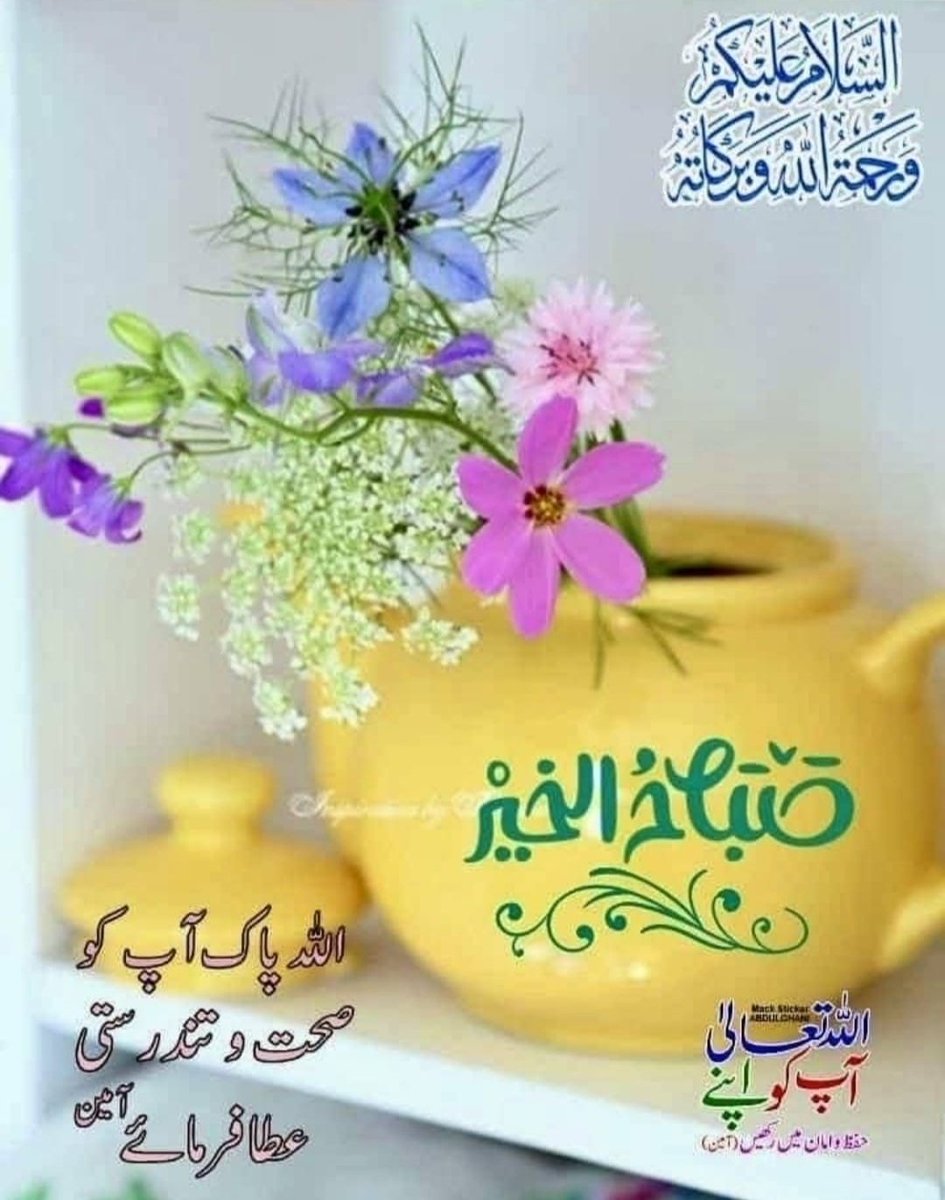 Khan_zaadee's tweet photo. السلام علیکم 
ہم سکون کی تلاش میں اکثر ان راستوں کا انتخاب کرتے ہیں جو ہمارے  منزل اور سکون دونوں کو کھو بیٹھتے ہیں۔ اے پاک پروردگار ہم تیری پناہ چاہتے ہیں ہر بُرے دن سے, ہر بُری رات سے, آنے والے وَقتوں کی آفتوں مصیبتوں, غمّوں فِکروں اور بیماریوں سے. آمین
#داستان_دل https://t.co/EPPjz3s3Ub
