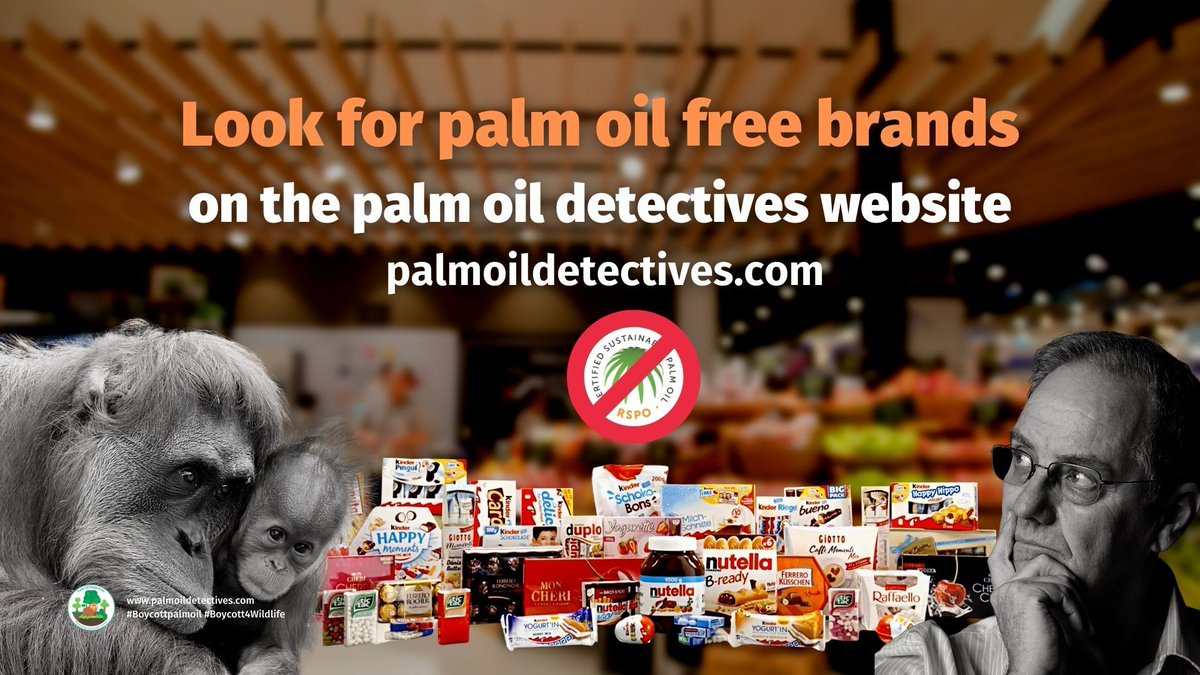 PalmOilDetect's tweet photo. Buy #palmoilfree and #boycott all @Nestle 🍫🍪🍬 products. Their so-called “sustainable” #palmoil is destroying rainforests, causing #humanrights abuses and #extinction 🐅🐘🦍🦜 Fight back and #Boycottpalmoil #Boycott4Wildlife @palmoildetect https://t.co/kR8cm4xn0O https://t.co/PTp1dHfRhx