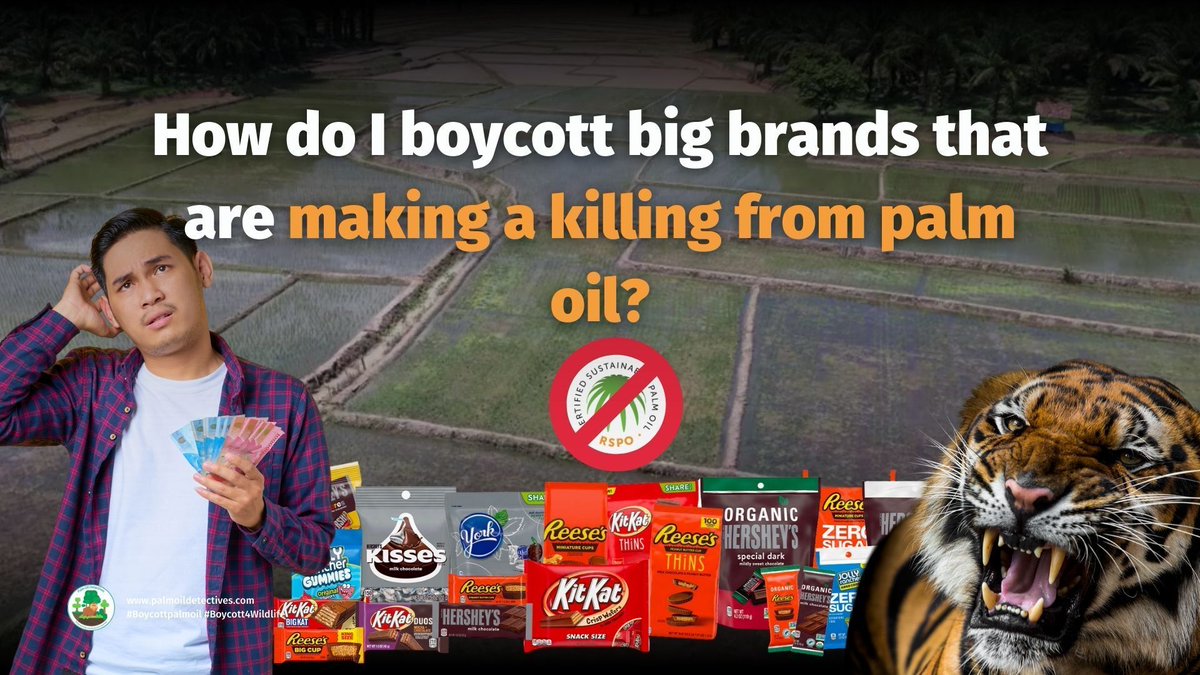 PalmOilDetect's tweet photo. Buy #palmoilfree and #boycott all @Nestle 🍫🍪🍬 products. Their so-called “sustainable” #palmoil is destroying rainforests, causing #humanrights abuses and #extinction 🐅🐘🦍🦜 Fight back and #Boycottpalmoil #Boycott4Wildlife @palmoildetect https://t.co/kR8cm4xn0O https://t.co/PTp1dHfRhx