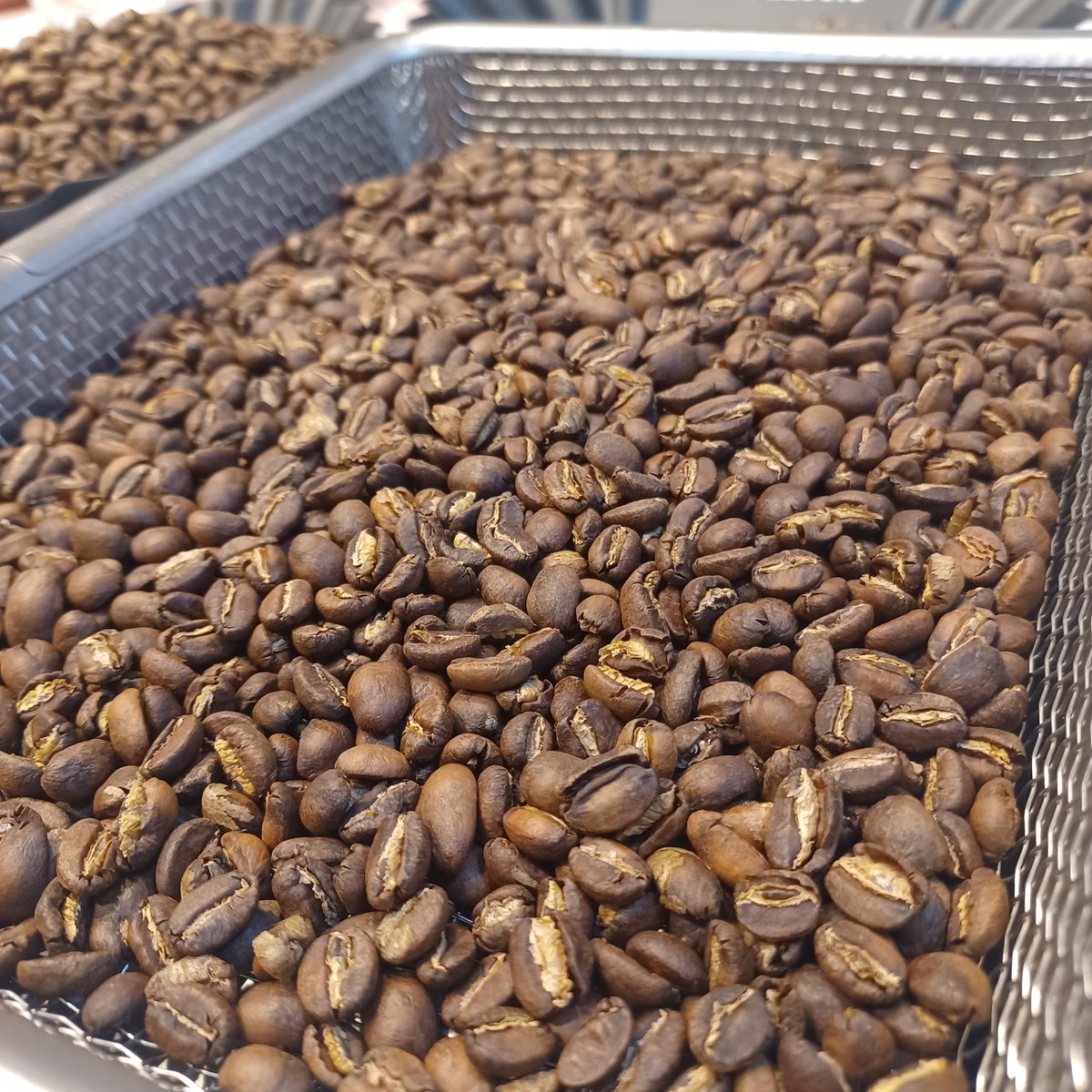 HIGHFIVE_COFFEE's tweet photo. おはようございます
本日焙煎
Ethiopia Chire🇪🇹
Guatemala Antigua La Esmeralda🇬🇹

火曜日、今日も朝から雨が降り続いています
気温も幾分下がり気味
体調崩さないようお気をつけください
珈琲と共に素敵な１日を🍀😊
HIGH FIVE COFFEE ↓
https://t.co/rSpTmiHlwW https://t.co/BvWRepU7uH