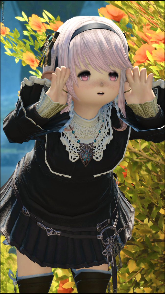 KasyaFlame's tweet photo. ✻*˸ꕤ*˸*⋆。
#おはララ #ララフェル https://t.co/lbZqAQbpCm