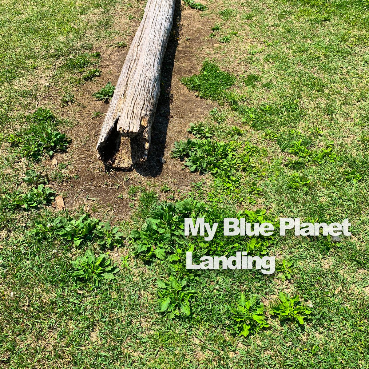 AIandsalty's tweet photo. 🎵オリジナル楽曲第14弾🎵

My Blue Planet最新シングル「Landing」が配信開始

Apple Music、amazon music、spotify、レコチョク、mora他で聴けます

不思議な未開の地をイメージして制作した楽曲です☺️
https://t.co/L187D2l0Od https://t.co/j0lnnd8bYk