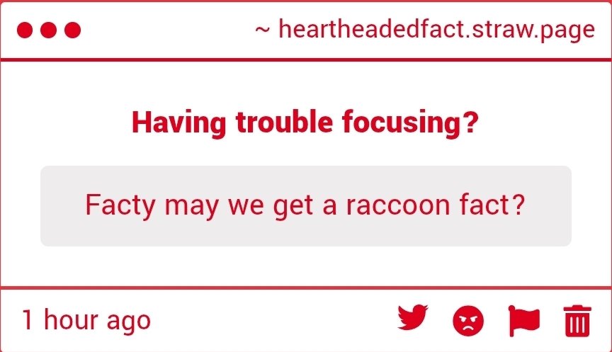heartheadedfact's tweet photo. Raccoons aren't actually washing their food. Their paws are up to five times more sensitive than the normal mammals. Water increases this sensitivity by softening the sensory micro-bristles. They are actually analyzing their food. Though they do not know how cotton candy works. https://t.co/3k2QmgiBhN