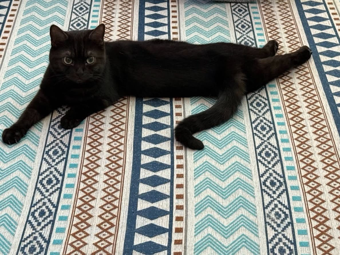 itimaliasof's tweet photo. Não é possível… esse jeito que ele tá se torcendo tá muito errado kkkkk https://t.co/nOcywGGe7k