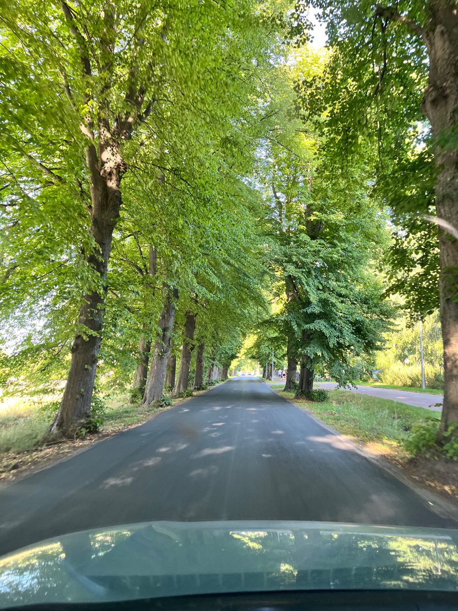 PolWoj's tweet photo. Today’s Challenge: The Road

Post a road pic you took. https://t.co/zYKUg1BO0B
