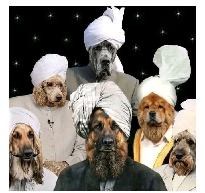 Muhammadasim439's tweet photo. ختم نبوت پر ڈاکہ مارنے والوں کی حقیقی صورتیں یہ ہیں اور قیامت کے دن بھی ایسی ہونگی
انشاءاللہ https://t.co/aUvvtReMBX