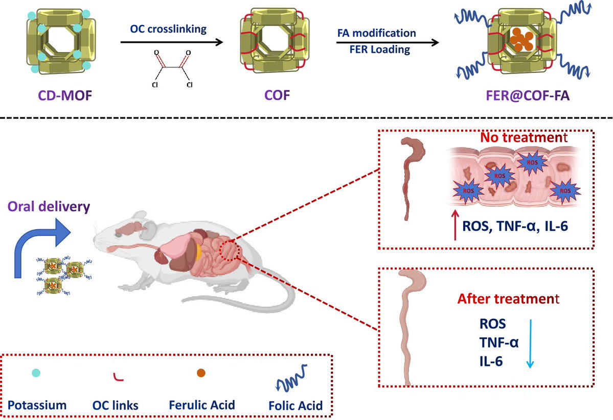 MDPIpharma's tweet photo. 🔥 Hot Off the Press!
📄Folate-Functionalized ROS-Scavenging Covalent Organic Framework for Oral Targeted Delivery of Ferulic Acid in Ulcerative Colitis 💥
👩🔬 Xue et al.
🔗 https://t.co/QdqnyKqFcH
#Pharmaceutics #COF #ROS #TargetedDelivery #HotOffThePress #OpenAccess https://t.co/d772ueVZ7n