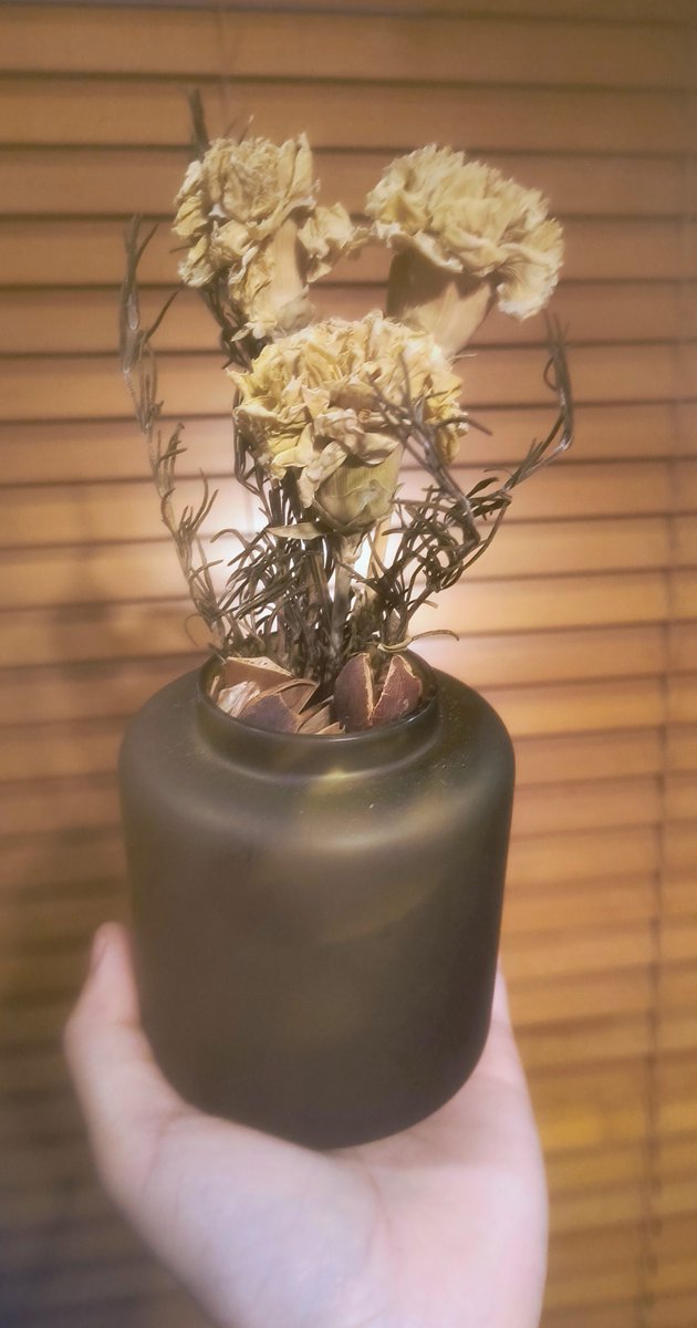 WWDREAMM's tweet photo. 友人のお店で購入したドライフラワーをポプリ花瓶に飾ったよ。
レンズのヒビ(物理)がイイ感じのノスフィルターに… https://t.co/m9OuQ9lywW