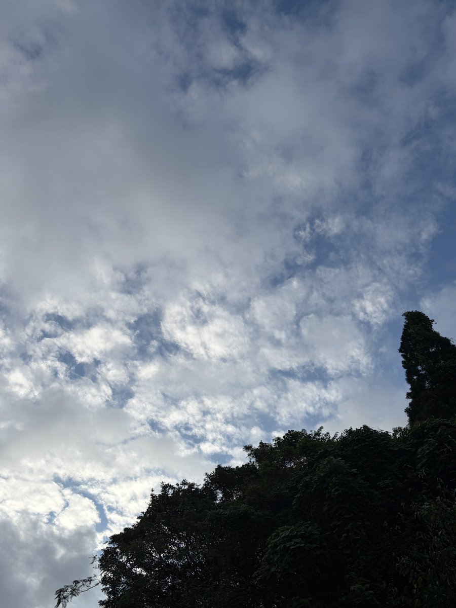 RX7FD3Shim's tweet photo. おはようさんです☁️

9月29日 招き猫の日😸
今朝は23.3℃

朝冷えてきたなぁ〜。
体調こわさないように☺️

今日も良き日に👍
本日もよろしくでーす💖 https://t.co/Z5CD9cjyro