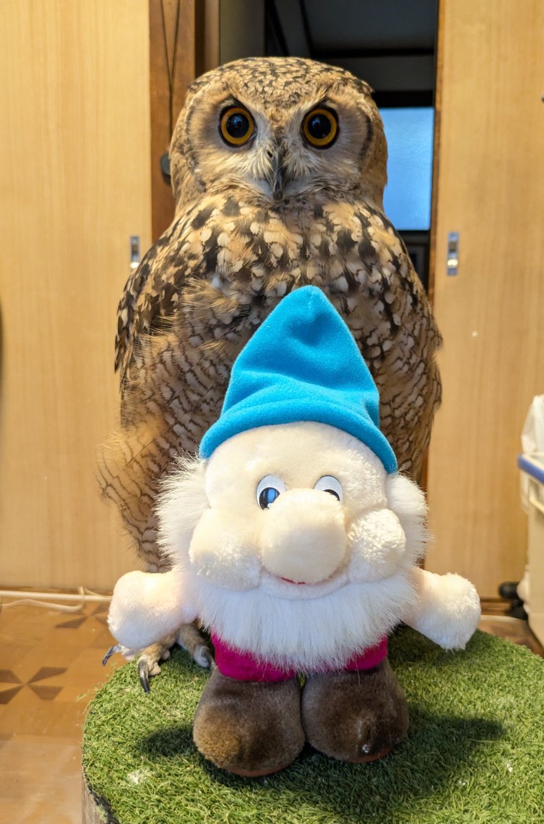 NORIKO_Rye tweet picture