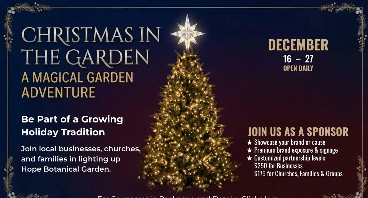 HopeBotanicGdn's tweet photo. 🎄 Sponsor a Christmas tree at Hope

Put your business or family on the lighted trail this December.
Reserve by Sep 28 (or while trees last):
https://t.co/u0Vq6DSfRx

Business $250 · Family/group $175
#LeomaTN https://t.co/u0nXWULQ5Q