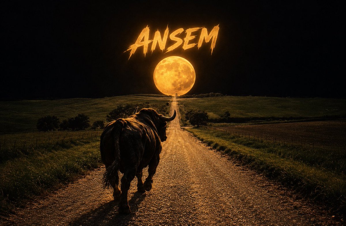VitoNakamoto's tweet photo. The $ANSEM Roadmap! https://t.co/z8R54bVjGL