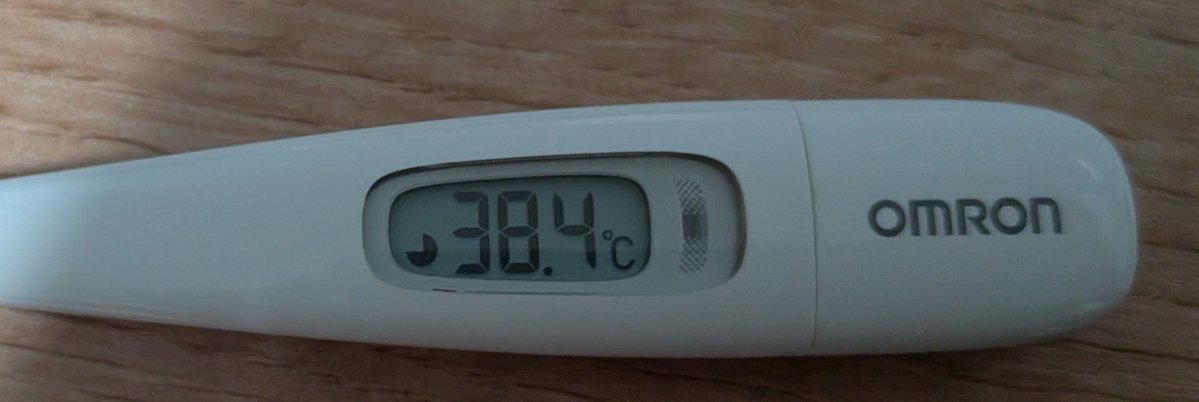 fish27699287's tweet photo. やったーーー!!!
フレチャレダハド非火事場で7分41
心臓バクバクで狩った瞬間代償として38度の発熱しました https://t.co/hyAGi15gIc